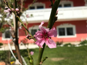 Pension Hadanig, Techelsberg Am Wörther See, Österreich